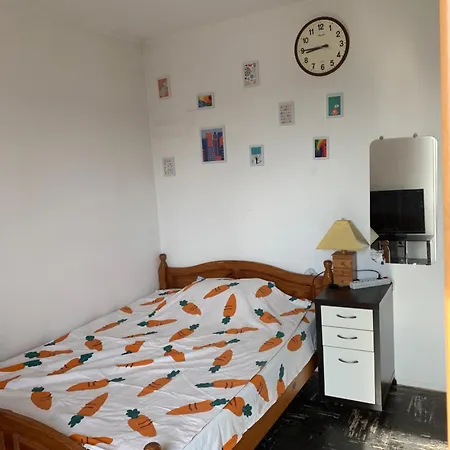 Single Avec Acces Direct Aeroport D'orly * Orly