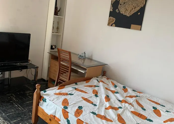Single Avec Acces Direct Aeroport D'orly * 奥利